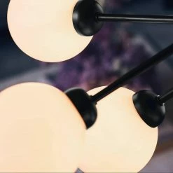 Vakkerlight Apiales Chandeliers