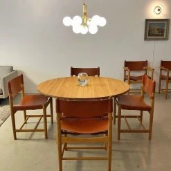 Vakkerlight Apiales Chandeliers