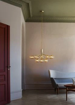 Vakkerlight Apiales Chandeliers