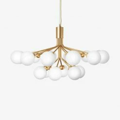 Vakkerlight Apiales Chandeliers