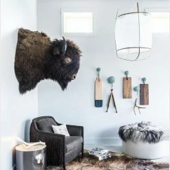 Vakkerlight Ay Illuminate Pendant Light