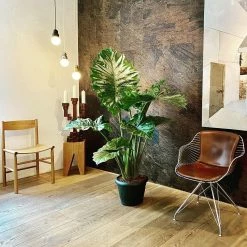 Promo ๐ Vakkerlight Pendant Lights Ball Light Pendant Series ๐ฅฐ 121 Vakkerlight Pendant Lights Ball Light Pendant Series