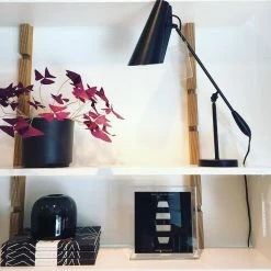 Vakkerlight Birdy Table Lamp