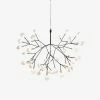 Vakkerlight Black Heracleum Chandelier Chandeliers