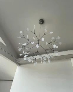 Buy ๐ Vakkerlight Black Heracleum Chandelier Chandeliers ๐ 87 Vakkerlight Black Heracleum Chandelier Chandeliers