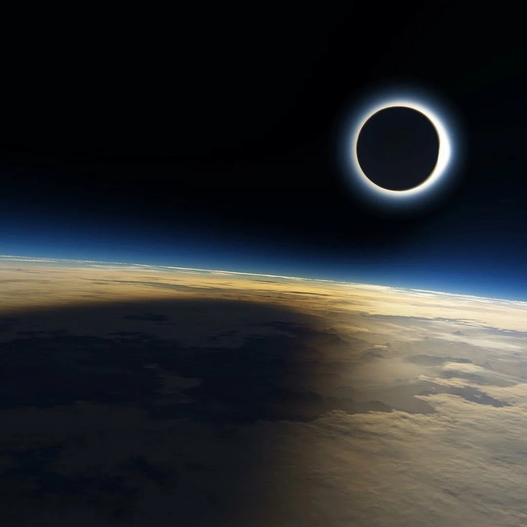 Deals 🎁 Vakkerlight Chrona Dish Suspension Pendant Lights 🛒 35 Vakkerlight Chrona Dish Suspension Pendant Lights