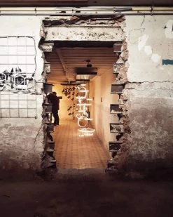 Deals 🎁 Vakkerlight Chrona Dish Suspension Pendant Lights 🛒 76 Vakkerlight Chrona Dish Suspension Pendant Lights