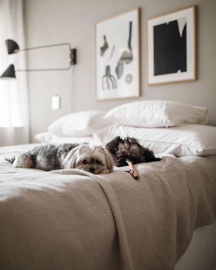 Best reviews of ๐ Vakkerlight Club Wall Lamp ๐ 17 Vakkerlight Club Wall Lamp