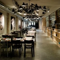 Vakkerlight Dear Ingo Chandeliers