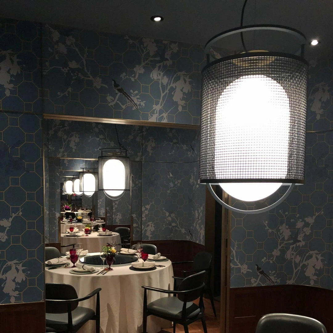 Brand new โจ Vakkerlight Denglong T Pendant Lamp Pendant Lights ๐งจ 20 Vakkerlight Denglong T Pendant Lamp Pendant Lights