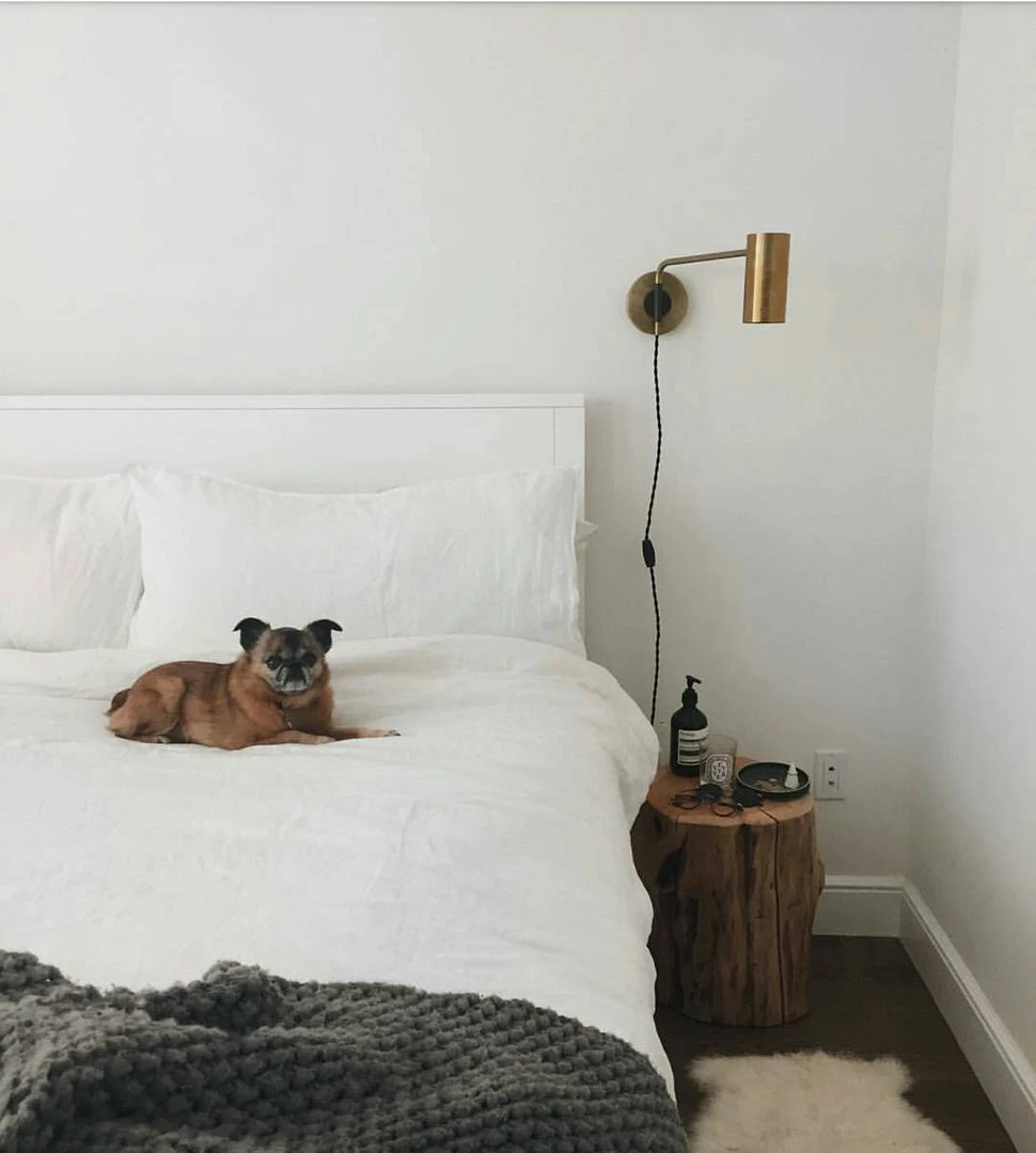 Discount 😀 Vakkerlight Envoy Swing Sconce Wall Sconces ⌛ 20 Vakkerlight Envoy Swing Sconce Wall Sconces