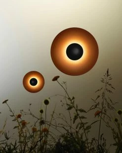 Budget ๐ Vakkerlight Ginger Wall Light Wall Sconces ๐ฏ 77 Vakkerlight Ginger Wall Light Wall Sconces