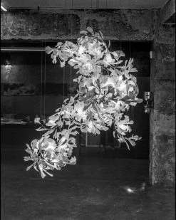 Vakkerlight Chandeliers Gingko Cluster Chandelier F