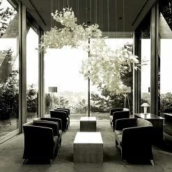 Vakkerlight Gingko Combination Chandelier C Chandeliers