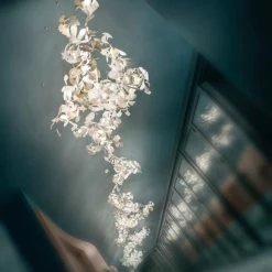 Vakkerlight Ginkgo Leaf Chandelier E Chandeliers