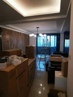 Vakkerlight Globe Chandeliers