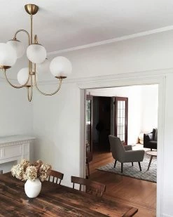 Vakkerlight Chandeliers Gooseneck Chandelier