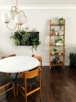 Vakkerlight Chandeliers Gooseneck Chandelier