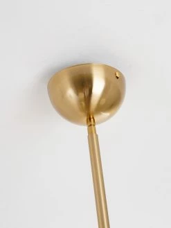 Vakkerlight Chandeliers Gooseneck Chandelier