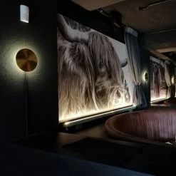 Vakkerlight Wall Sconces Gossa Sconce