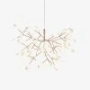 Best Sale ๐ Vakkerlight Heracleum Chandeliers ๐ฅฐ 2 Vakkerlight Heracleum Chandeliers