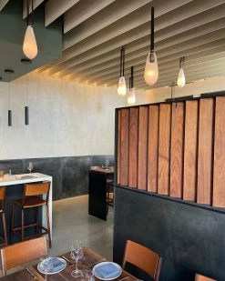 Vakkerlight Hold Pendant Light Pendant Lights