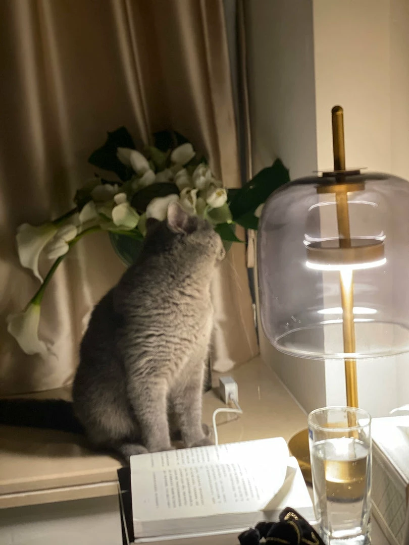 Cheapest โ Vakkerlight Table Lamps Jujube Table Lamp ๐ 21 Vakkerlight Table Lamps Jujube Table Lamp