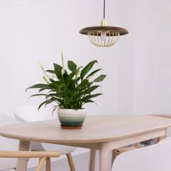 Vakkerlight Pendant Lights Kasa Pendant Lamp