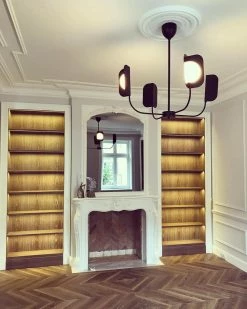 Best reviews of ๐ Vakkerlight Chandeliers LEAF Chandelier โค๏ธ 121 Vakkerlight Chandeliers LEAF Chandelier