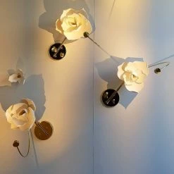 Vakkerlight Lure Sconce Wall Sconces