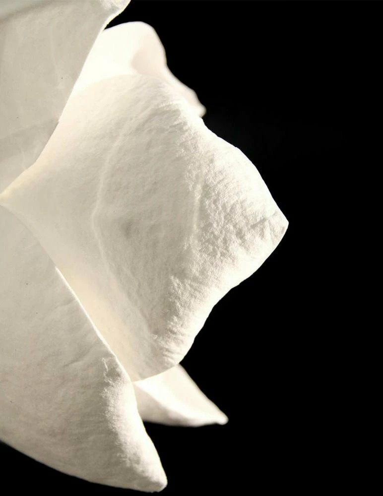 Buy ๐ Vakkerlight Lure Sconce Wall Sconces โ๏ธ 25 Vakkerlight Lure Sconce Wall Sconces