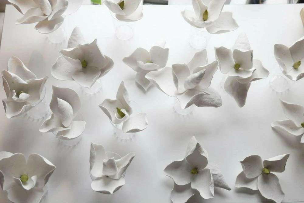 Buy ๐ Vakkerlight Lure Sconce Wall Sconces โ๏ธ 26 Vakkerlight Lure Sconce Wall Sconces