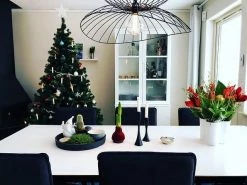 Vakkerlight Ray Metal Pendant Light