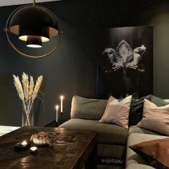 Vakkerlight Deformed Ball Pendant Light Pendant Lights