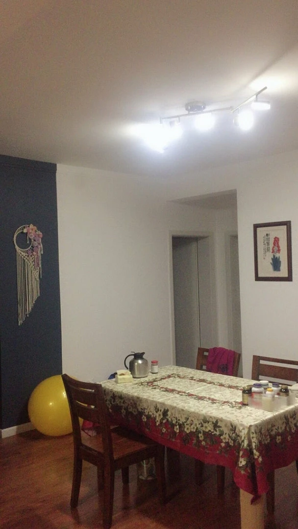 Promo 🛒 Vakkerlight All Rooms Track Light Ceiling Light 🌟 24 Vakkerlight All Rooms Track Light Ceiling Light