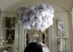 Best Pirce 🥰 Vakkerlight Ostrich Feather Chandeliers 🔥 99 Vakkerlight Ostrich Feather Chandeliers