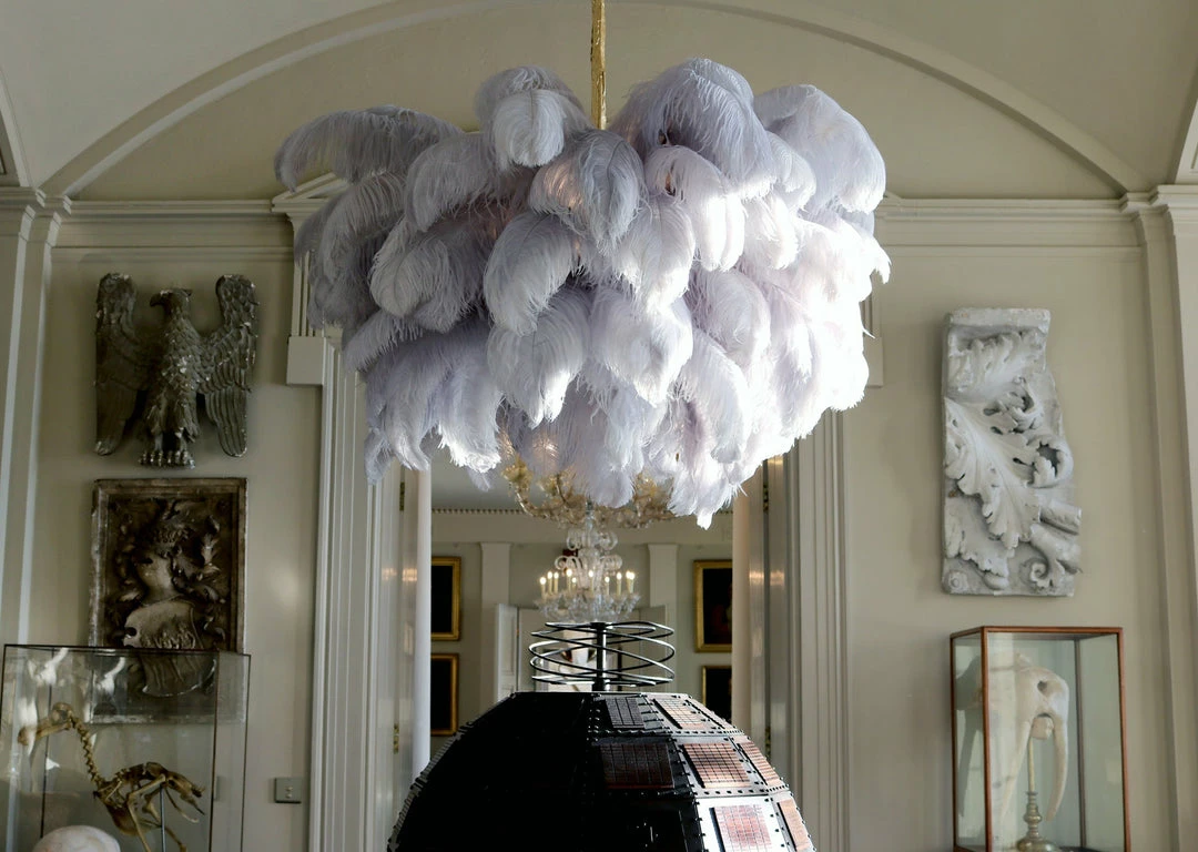 Best Pirce 🥰 Vakkerlight Ostrich Feather Chandeliers 🔥 17 Vakkerlight Ostrich Feather Chandeliers