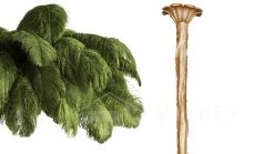 Best Pirce 🥰 Vakkerlight Ostrich Feather Chandeliers 🔥 115 Vakkerlight Ostrich Feather Chandeliers