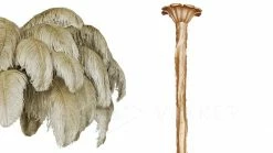 Best Pirce 🥰 Vakkerlight Ostrich Feather Chandeliers 🔥 121 Vakkerlight Ostrich Feather Chandeliers