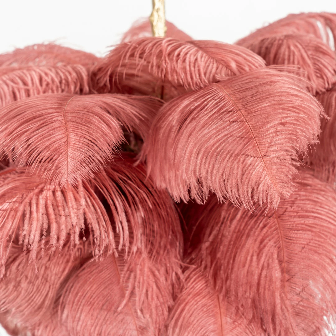 Best Pirce 🥰 Vakkerlight Ostrich Feather Chandeliers 🔥 49 Vakkerlight Ostrich Feather Chandeliers