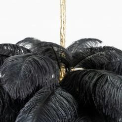 Best Pirce 🥰 Vakkerlight Ostrich Feather Chandeliers 🔥 133 Vakkerlight Ostrich Feather Chandeliers