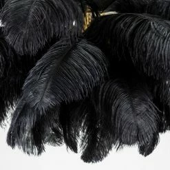 Best Pirce 🥰 Vakkerlight Ostrich Feather Chandeliers 🔥 135 Vakkerlight Ostrich Feather Chandeliers