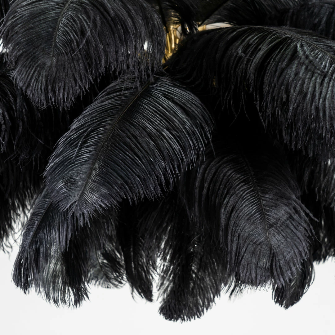 Best Pirce 🥰 Vakkerlight Ostrich Feather Chandeliers 🔥 53 Vakkerlight Ostrich Feather Chandeliers