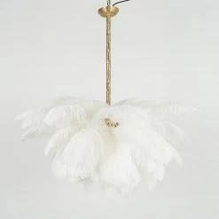 Best Pirce 🥰 Vakkerlight Ostrich Feather Chandeliers 🔥 148 Vakkerlight Ostrich Feather Chandeliers