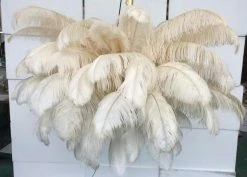 Best Pirce 🥰 Vakkerlight Ostrich Feather Chandeliers 🔥 92 Vakkerlight Ostrich Feather Chandeliers