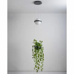 Vakkerlight Palma Suspension Lamp Pendant Lights