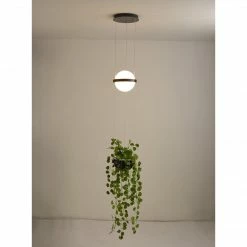 Vakkerlight Palma Suspension Lamp Pendant Lights