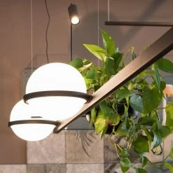Vakkerlight Palma Suspension Lamp Pendant Lights