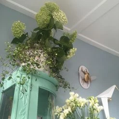 Vakkerlight Perching Bird Wall Lamp