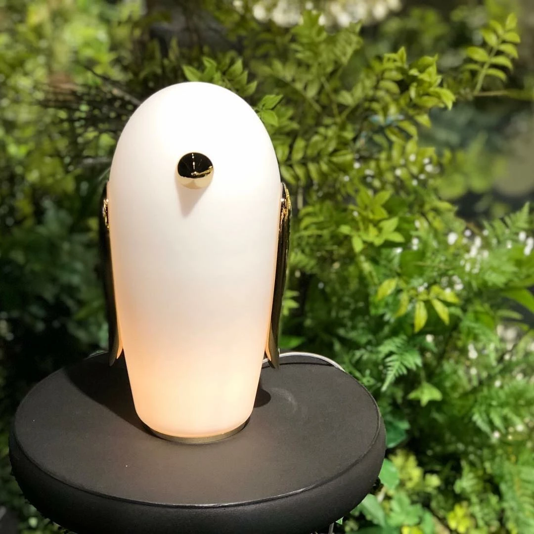 Best reviews of ❤️ Vakkerlight Pet Desk Light Table Lamps ✔️ 33 Vakkerlight Pet Desk Light Table Lamps